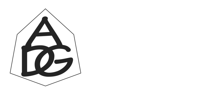 Access Data Group Inc